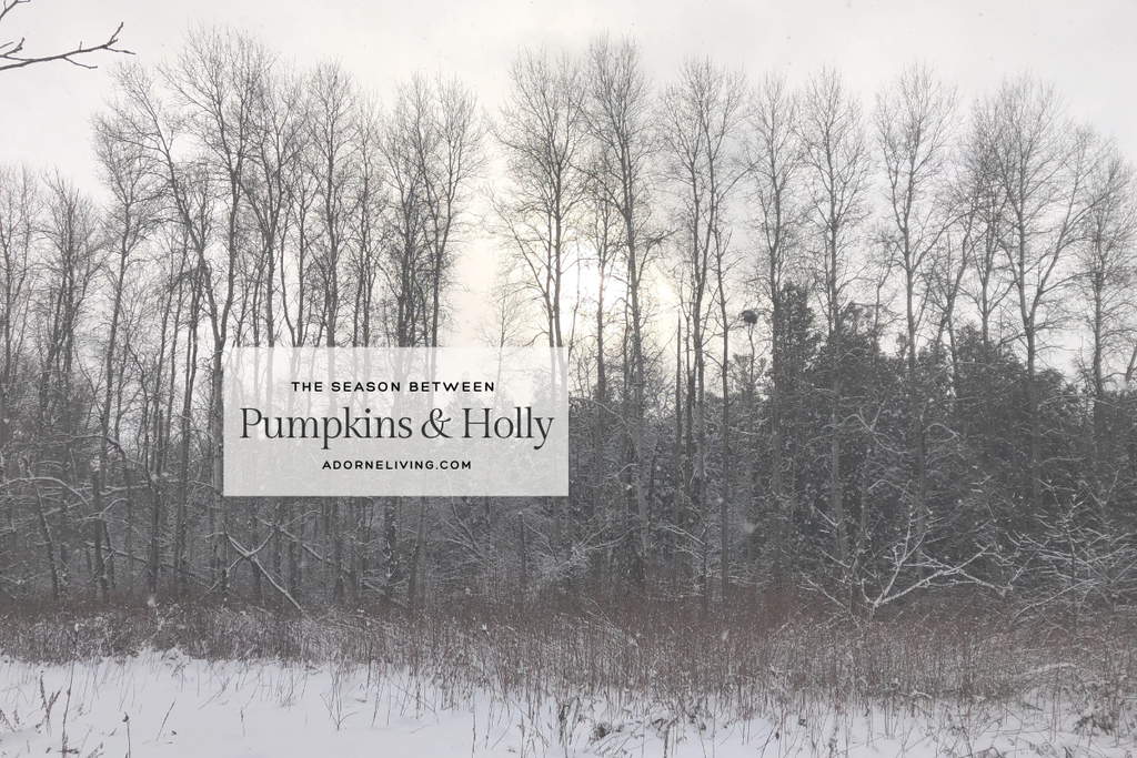 Lingering in the In-Between